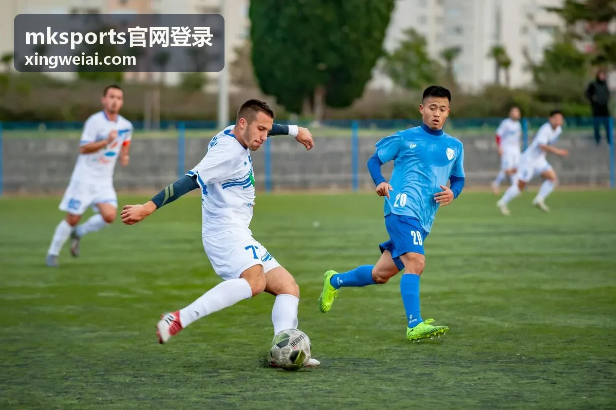 mksports官网登录入口页面操作示意