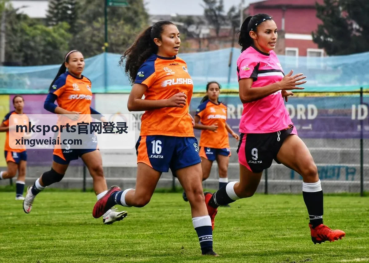 mksports官网登录入口核对操作示意